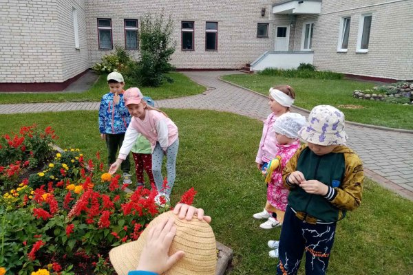 Экскурсия в разнообразный мир природы