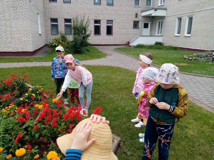 Экскурсия в разнообразный мир природы