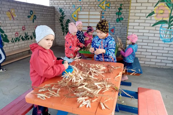 Прыйшла пара збіраць ураджай!