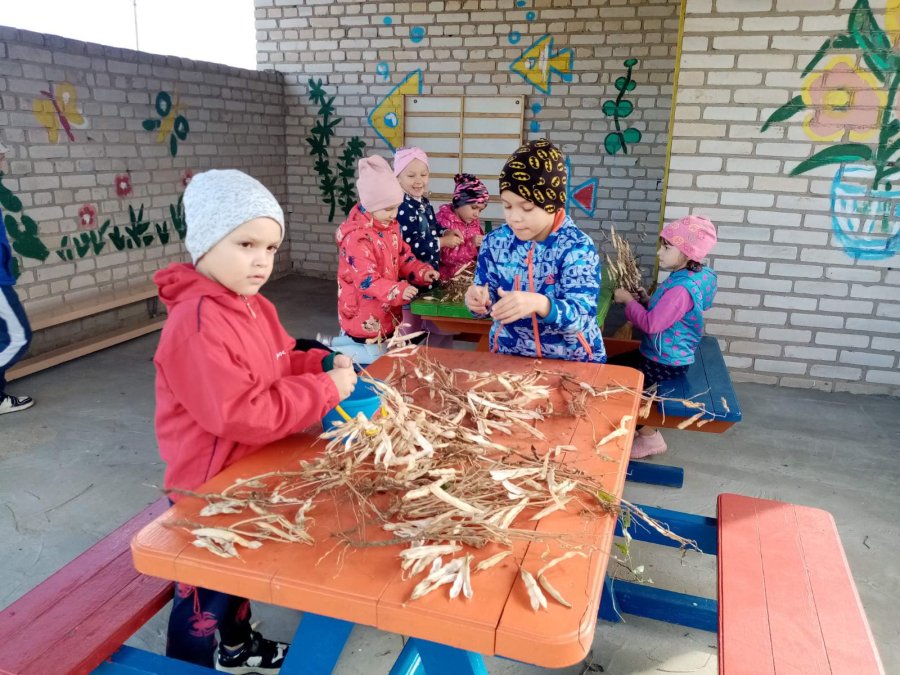 Прыйшла пара збіраць ураджай!