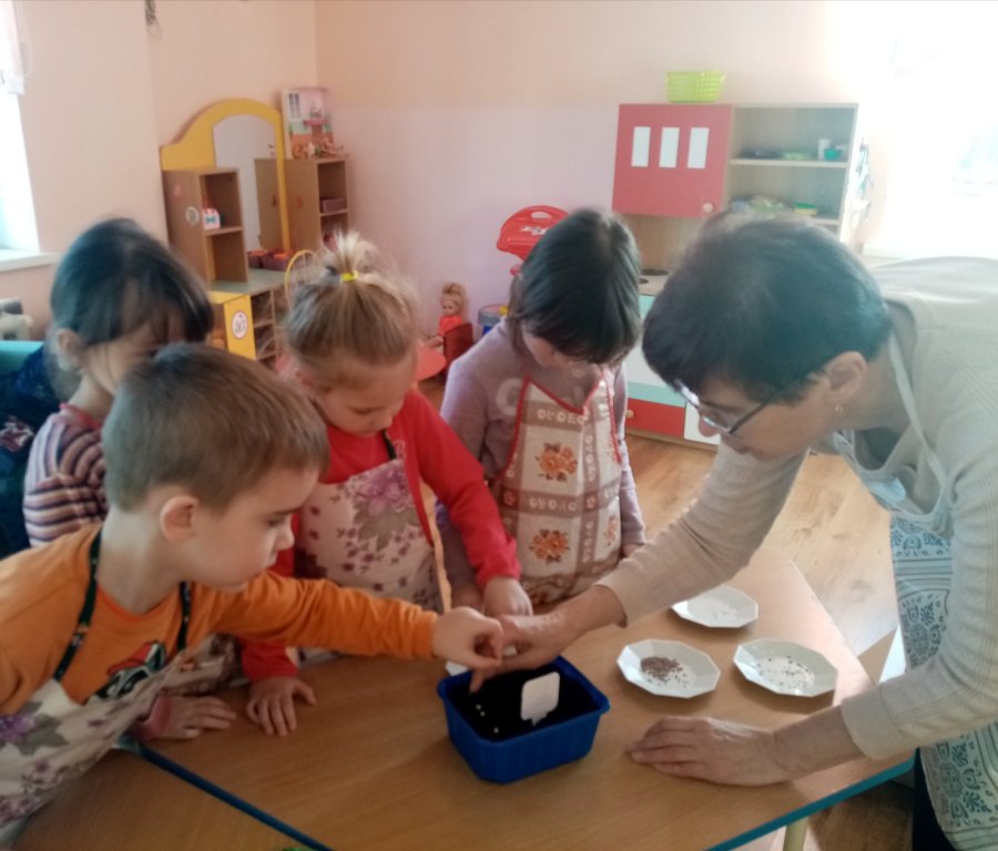 Огород на окошке!