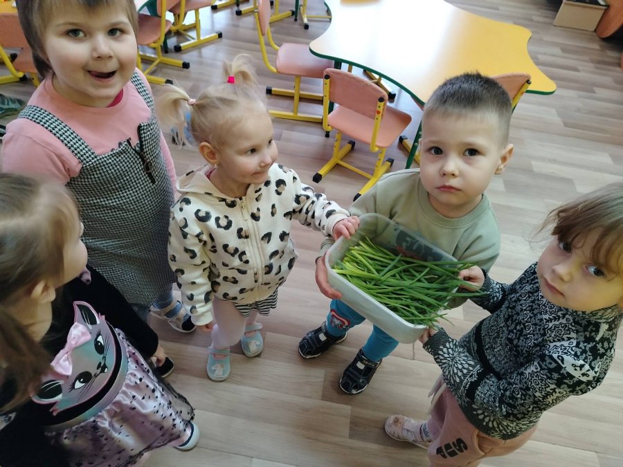 Собираем первый урожай!